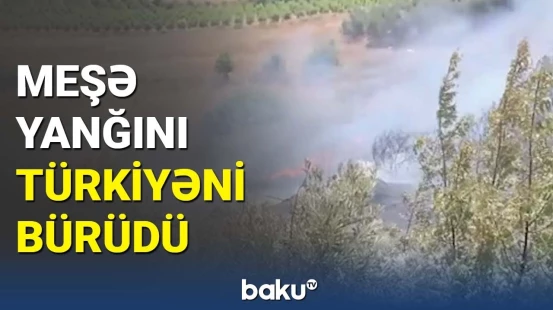 Türkiyənin iki bölgəsində dəhşətli yanğın | Anbaan görüntülər