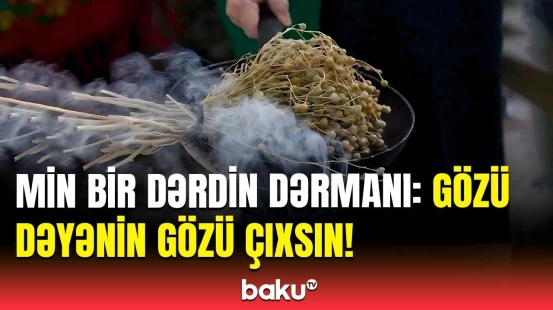 Naxçıvanlılar üzərliyin bilinməyən faydalarından danışdı | Hər şeydə istifadə olunur