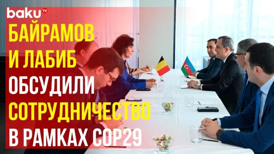 Джейхун Байрамов в рамках саммита НАТО встретился с министром иностранных дел Бельгии Хаджой Лабиб