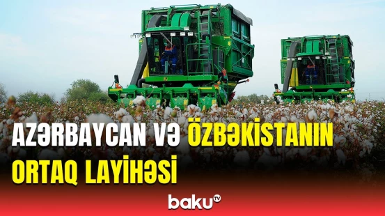 İqtisadiyyata böyük töhfə verəcək layihənin icrasına başlanılır