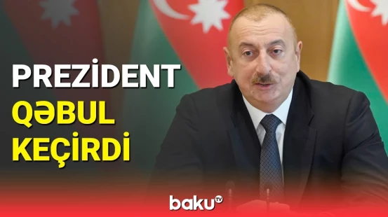 İlham Əliyev Helqa Mariya Şmidi qəbul etdi