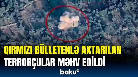 Türkiyə polisi "BOZDOĞAN-50" antiterror əməliyyatı keçirdi