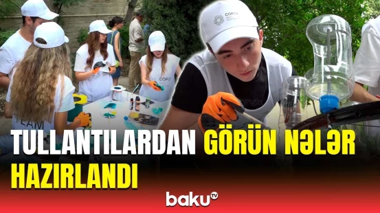 COP29 könüllüləri İçərişəhərdə | Gənclərdən heyvanlarla bağlı nümunəvi addım