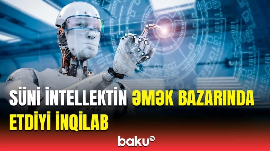 Əmək bazarında böyük sayda ixtisassız işçi qüvvəsi var | Sahil Babayev