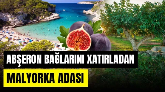 Ölülərini brilyanta çevirən, uşaqları palçıqda saxlayan Malyorka sakinləri - ORALARDA NECƏDİR?