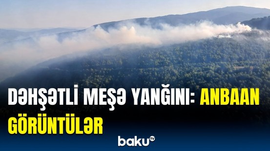 Karabük şəhərini meşə yanğını bürüdü | Türkiyə