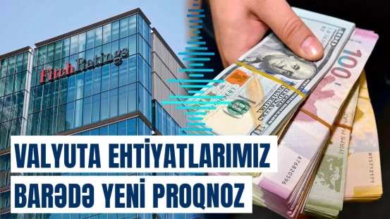 Bu il Azərbaycanın valyuta ehtiyatları nə qədər olacaq?