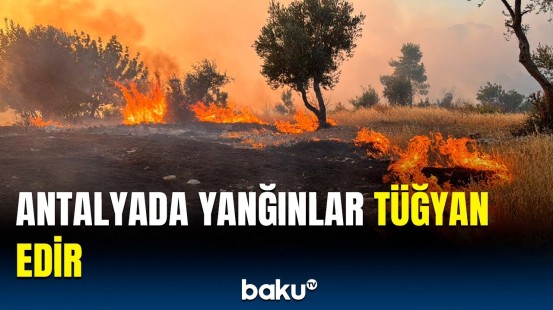 Türkiyədə meşə yanğınları | Yanğın baş verən bölgədən görüntülər