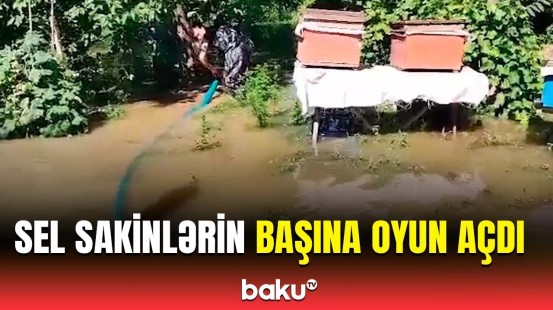 Samux sel sularına qərq oldu | FHN hərəkətə keçdi