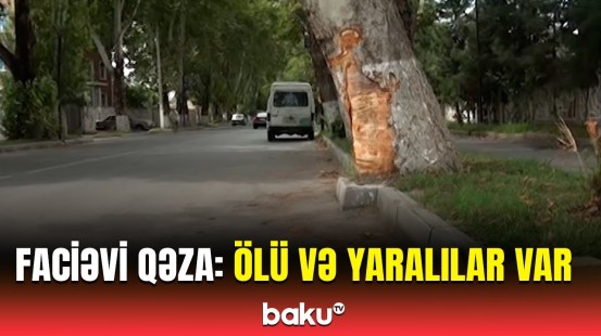 Ağdaşda dəhşətli yol qəzası | Həkimdən təcili açıqlama