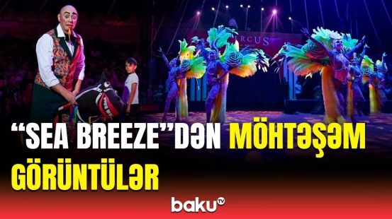 "Sea Breeze"də hər kəsin marağına səbəb olan sirk şousu