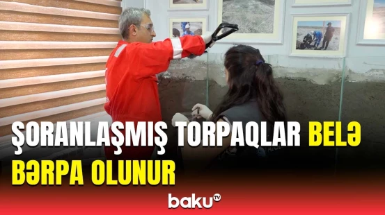 "Azərbaycan Yaşıllaşdırma və Landşaft Quruluşu" ASC ilə "AZCHEMCO" MMC arasında mühüm saziş