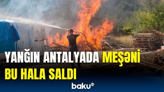 Antalyada güclü meşə yanğını | Hadisə yerindən görüntülər