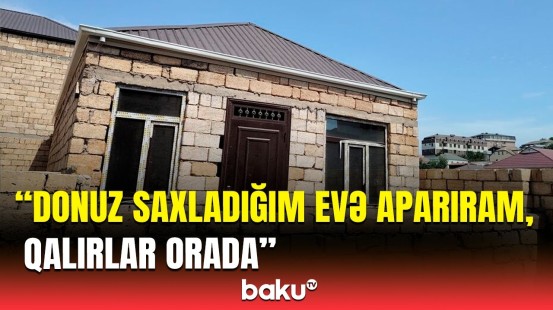 Başqasının evində pulla qeydiyyata düşənləri gözləyən təhlükə | Ekspertdən çağırış