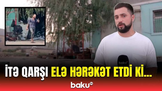 Tüfeyli həyat sürən şəxsin itlə davranışına görə polis hərəkətə keçdi