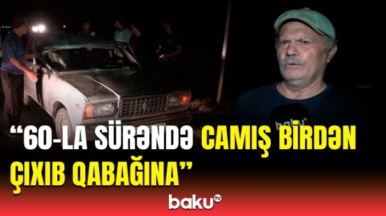 Avtomobil camışla toqquşdu | Kürdəmirdə ağır qəza