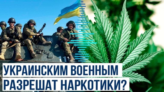 В Украине начинает действовать закон о легализации каннабиса