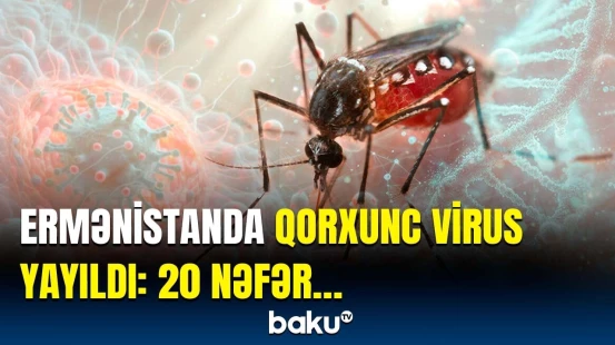 Bu virus görün necə yayılırmış | Ermənistan təşviş içində