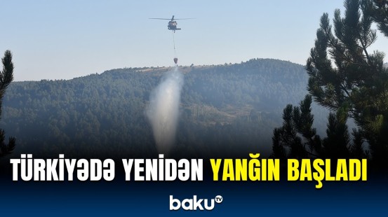 Türkiyədə meşəlik ərazidə güclü yanğın baş verdi