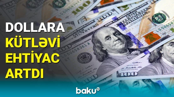 Dollara kəskin tələbatın artma səbəbi | İqtisadçı açıqladı