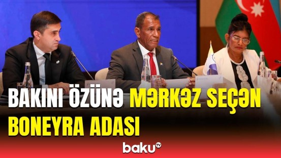 Boneyra adasının Azərbaycana üz tutmasının əsas səbəbləri açıqlandı