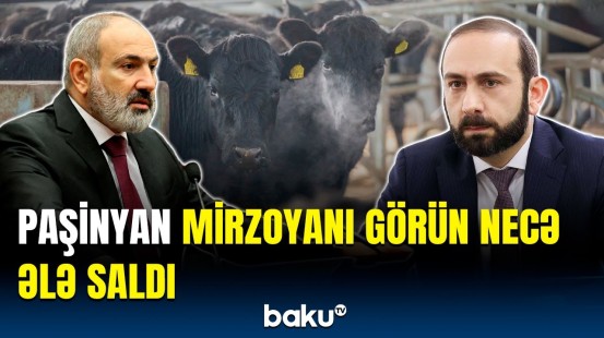 Baş nazirdən Mirzoyana sərt sözlər | Öz işinizlə məşğul olun!