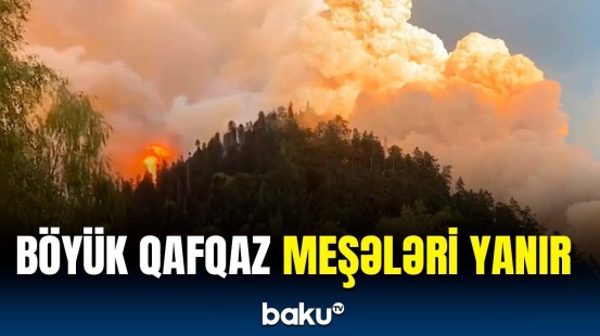 Böyük Qafqaz meşələrini güclü yanğın bürüdü | Rusiya