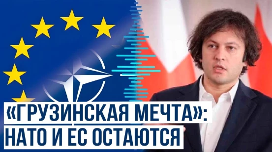 Правящая партия Грузии не планирует убирать из Конституции статью об интеграции в ЕС и НАТО