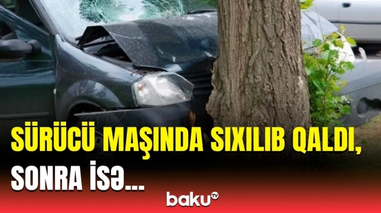 Şəmkirdə avtomobil ağaca çırpıldı | Sürücü barədə açıqlama