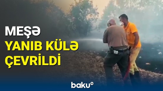 Kahramanmaraşda dəhşətli yanğın baş verdi