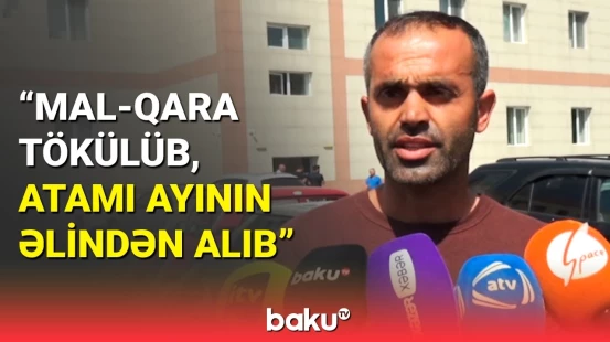 Ayının ahıl kişiyə hücumunun detalları | Yaralının son vəziyyəti açıqlandı