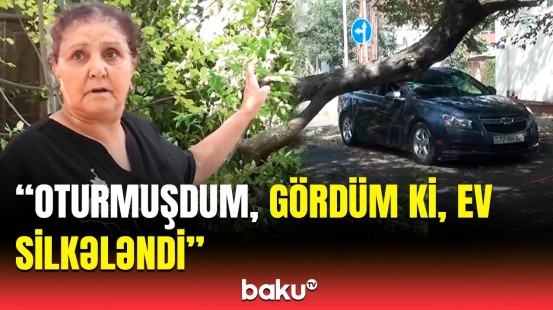 Yaxşı ki, kişi maşından tez çıxdı | Qubadakı güclü küləyin dəhşətli fəsadları