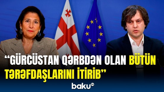 Yüzlərlə QHT Konstitusiya Məhkəməsinə niyə müraciət etdi? | Gürcü politoloqlardan vacib şərh