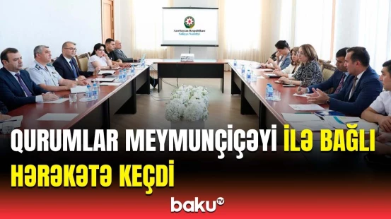 Meymunçiçəyinin yayılmasına qarşı tədbirlər gücləndirildi | Müzakirə olunan məsələlər açıqlandı