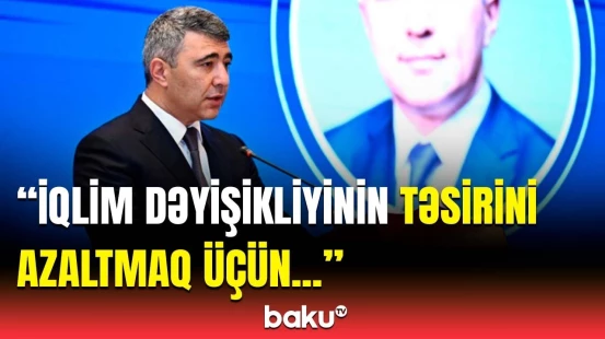 İnam Kərimov iqlim dəyişikliyi problemi barədə vacib məqamları vurğuladı