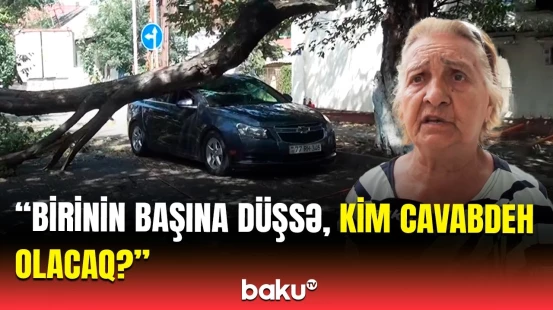 Ağac aşıb damımı məhv etdi, dedilər ki... | Quba sakinləri təhlükə altında