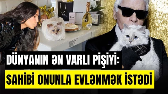 Hamının qulluqçusu olmaq istədiyi pişik | Şupett necə bu qədər varlandı? - ARAŞDIRMA