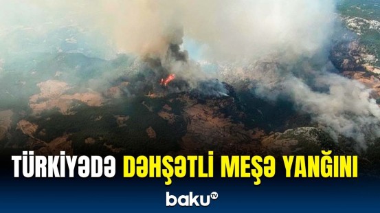 Muğlada güclü meşə yanğınları başladı