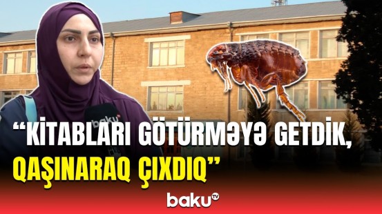 Uşaqların ayağı qaşına-qaşına qalıb | Sumqayıtda məktəbdə nə baş verir?