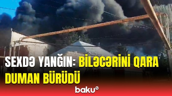 Biləcəridə dəhşətə gətirən yanğın | Mebel sexi alovlandı