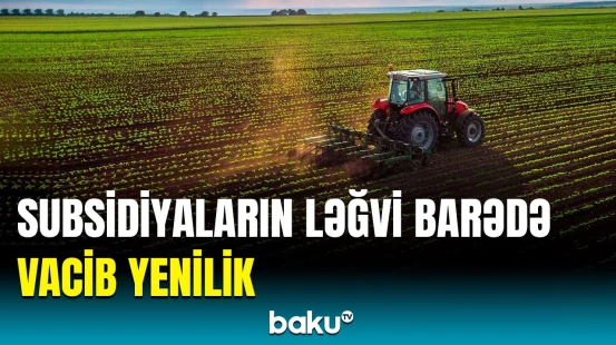 Bu keçid əlçatan enerjini təmin edəcək | SOCAR-ın vitse-prezidenti