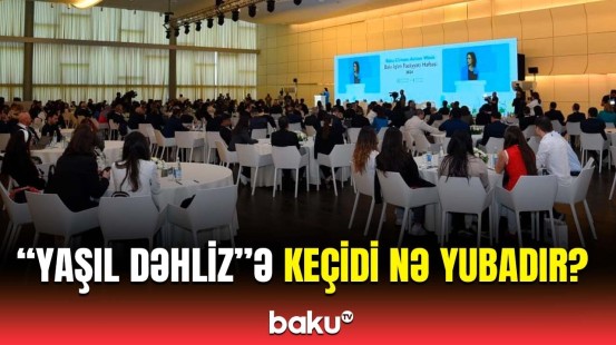 Bakıdakı tədbirin əsas mövzuları | Energetika nazirinin müavini nələri açıqladı?