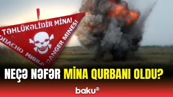 Ombudsman Ermənistanın cinayətlərindən danışdı | Həmin ərazilərə elə ziyan vurulub ki…