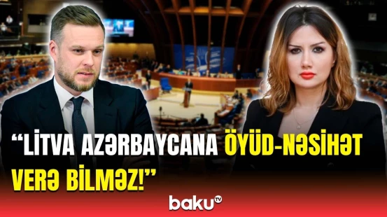 Özünü də, ölkəsini də gülünc vəziyyətə salır! | Litvalı nazirə QAİ-dən sərt cavab