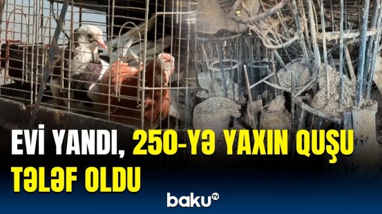 Çox böyük fəlakət yaşadım | Ev sahibi yaşadıqlarını danışdı