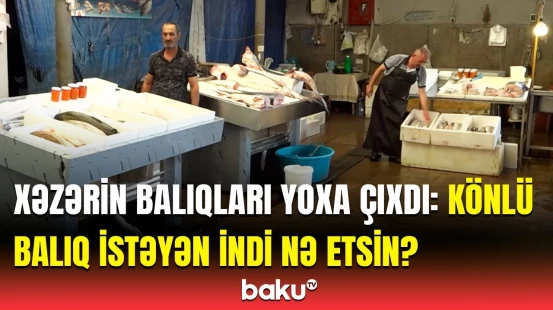 Axırıncı dəfə ilyarım qabaq almışam | Xəzərdə balıqlar niyə qeybə çəkilib?