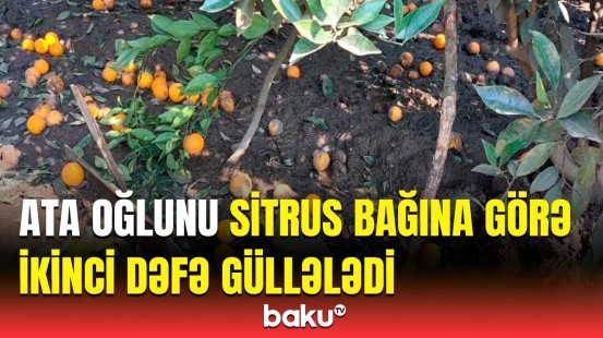 Meyvə bağına görə ata övladını yaraladı | Astarada dəhşətli hadisə