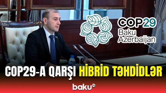 113 ölkədən COP29-la bağlı məqalə | Deputat mühüm məqamları vurğuladı