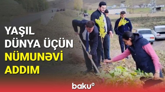 Gədəbəydə ağacəkmə aksiyası | Təbiəti qoruyaq!