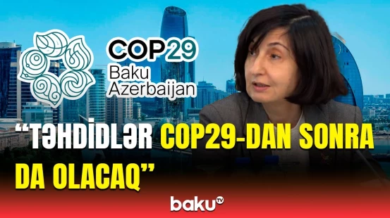 Hibrid təhdidlərlə bağlı yeni təklif | Millət vəkili xəbərdarlıq etdi